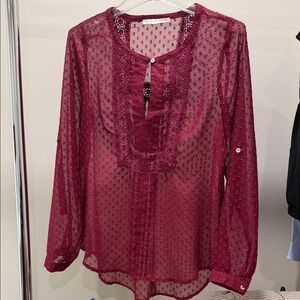 Daniel Rainn Burgundy Sheer Blouse